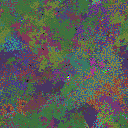 World at epoch 25000