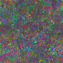 World at epoch 25000