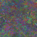 World at epoch 26000