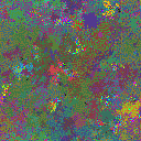 World at epoch 25000