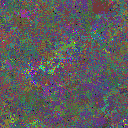 World at epoch 25000