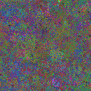 World at epoch 37000