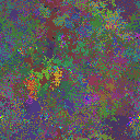 World at epoch 35000