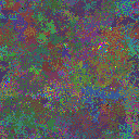World at epoch 37000