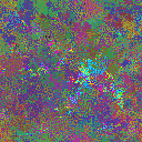 World at epoch 25000