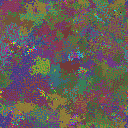 World at epoch 34000