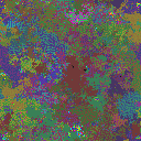 World at epoch 35000