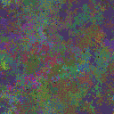 World at epoch 40000
