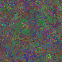 World at epoch 49000