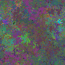 World at epoch 29000