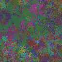 World at epoch 31000