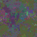 World at epoch 40000