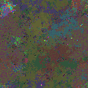 World at epoch 22000