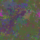 World at epoch 41000