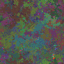 World at epoch 24000