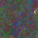 World at epoch 25000