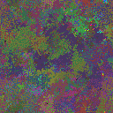 World at epoch 37000
