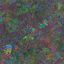 World at epoch 24000