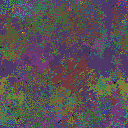 World at epoch 39000