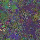 World at epoch 40000
