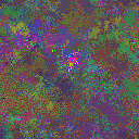 World at epoch 39000
