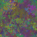 World at epoch 40000