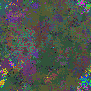 World at epoch 34000