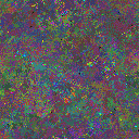 World at epoch 34000