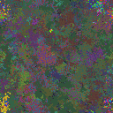 World at epoch 35000