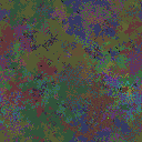 World at epoch 31000