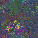 World at epoch 37000