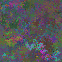 World at epoch 37000