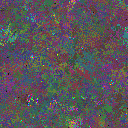 World at epoch 37000