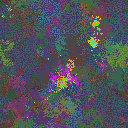 World at epoch 38000