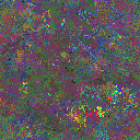 World at epoch 40000