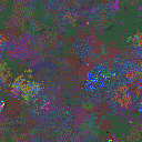 World at epoch 40000