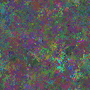 World at epoch 44000