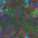 World at epoch 37000