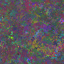 World at epoch 45000