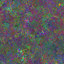 World at epoch 48000