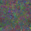 World at epoch 49000