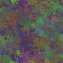 World at epoch 49000