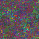 World at epoch 55000