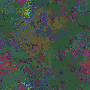 World at epoch 49000