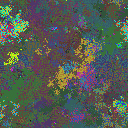 World at epoch 40000