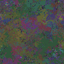 World at epoch 35000