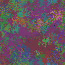 World at epoch 31000