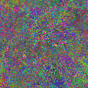 World at epoch 25000