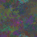 World at epoch 49000