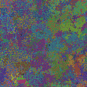 World at epoch 30000